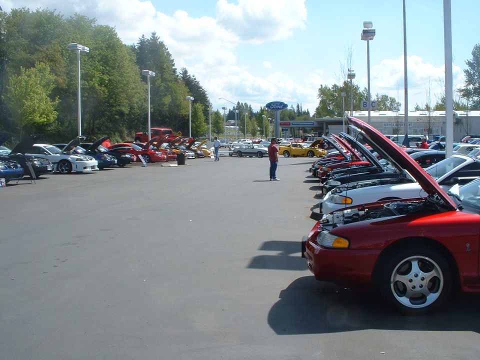 Rows of Mustangs with hoods open at a car show in a Ford dealership parking lot