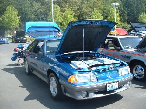 2000 Ford Crown Victoria - Sunny's GT