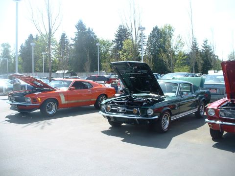 2000 Ford Crown Victoria - Three classic Ford Mustangs are displayed outdoors with their hoods open, their engines.