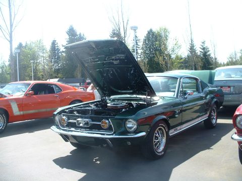 2000 Ford Crown Victoria - A green 1967 Ford Mustang fastback is displayed with its hood open at an outdoor car show.