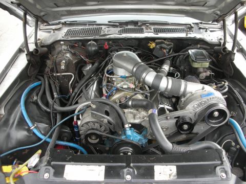 1998 Ford Crown Victoria - detailed engine bay with a belt-driven supercharger, bright blue hoses, an alternator, and assorted wiring under an open hood.