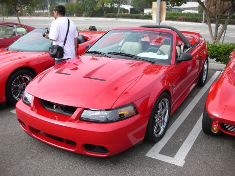 1998 Ford Crown Victoria - red Ford Mustang SVT Cobra convertible with the top down and chrome wheels parked among other Mustangs at a show.