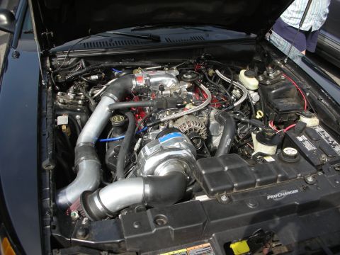 1998 Ford Crown Victoria - Engine bay fitted with a ProCharger centrifugal supercharger, polished intake piping and red braided fuel lines.