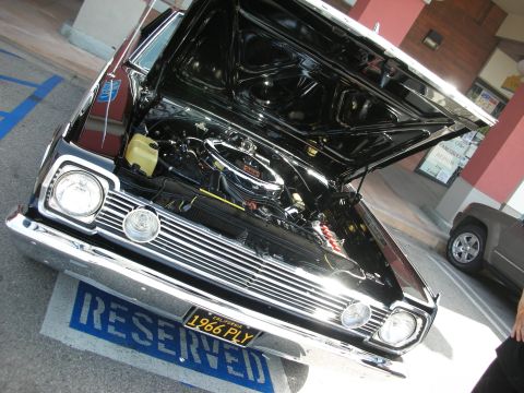 1998 Ford Crown Victoria - Front view of a black classic car with hood raised over a chrome grille, plate reading 1966 PLY.