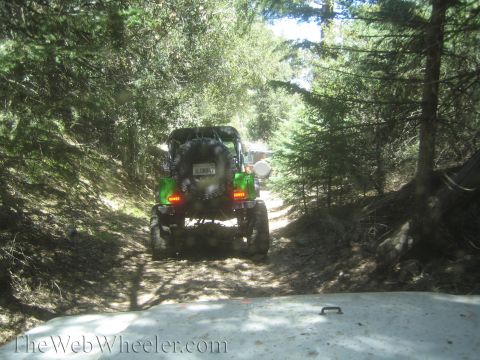 1987 Suzuki Samurai - Two off-road vehicles navigate a wooded trail. The lead vehicle is green and seen from the rear.