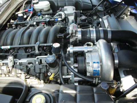 1998 Ford Crown Victoria - Detailed view of a supercharged V8 engine bay showing the belt-driven blower, intake manifold and braided fuel lines.