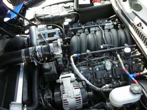1998 Ford Crown Victoria - open engine bay showing a black-intake-manifold V8 with visible fuel rails, alternator, and braided lines.