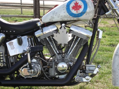 1988 Harley-Davidson FLHS photo