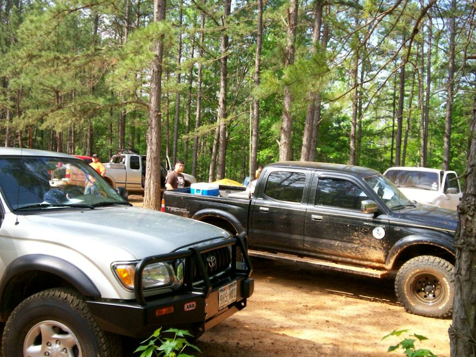 At Old Camp with TTORA Sat. a.m.