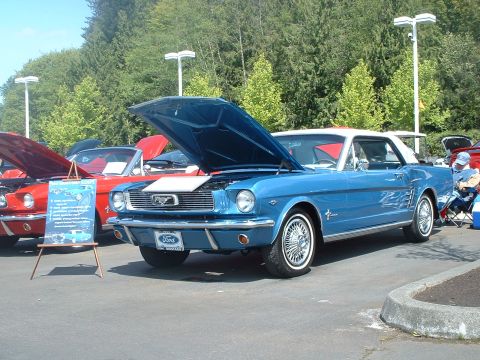 2000 Ford Crown Victoria - A blue 1965 Ford Mustang coupe is displayed with its hood open at a car show, next to a red convertible.