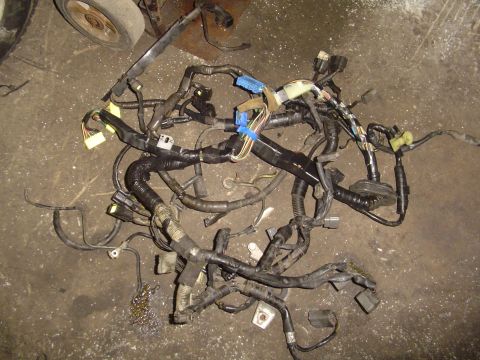 1994 Ford Probe - A tangled engine wiring harness lies on a dirty floor, likely for a car part-out.