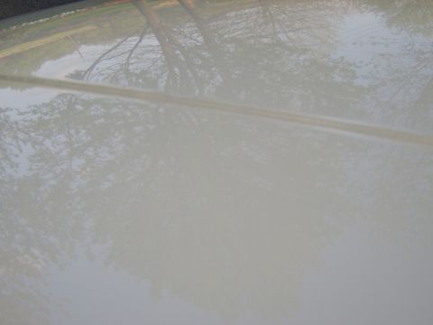 1996 Mercury Grand Marquis - Reflections of trees and sky are visible on the smooth surface of a car's hood.