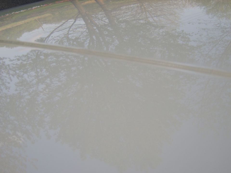 Close-up of pale glossy car body panel reflecting trees and sky