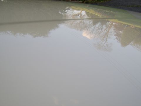 1996 Mercury Grand Marquis - Reflection of trees and power lines on the hood of a light-colored vehicle.