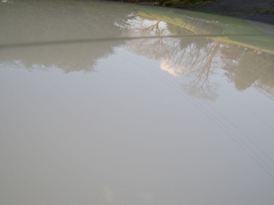 Reflective cream-colored painted car panel reflecting trees and sky
