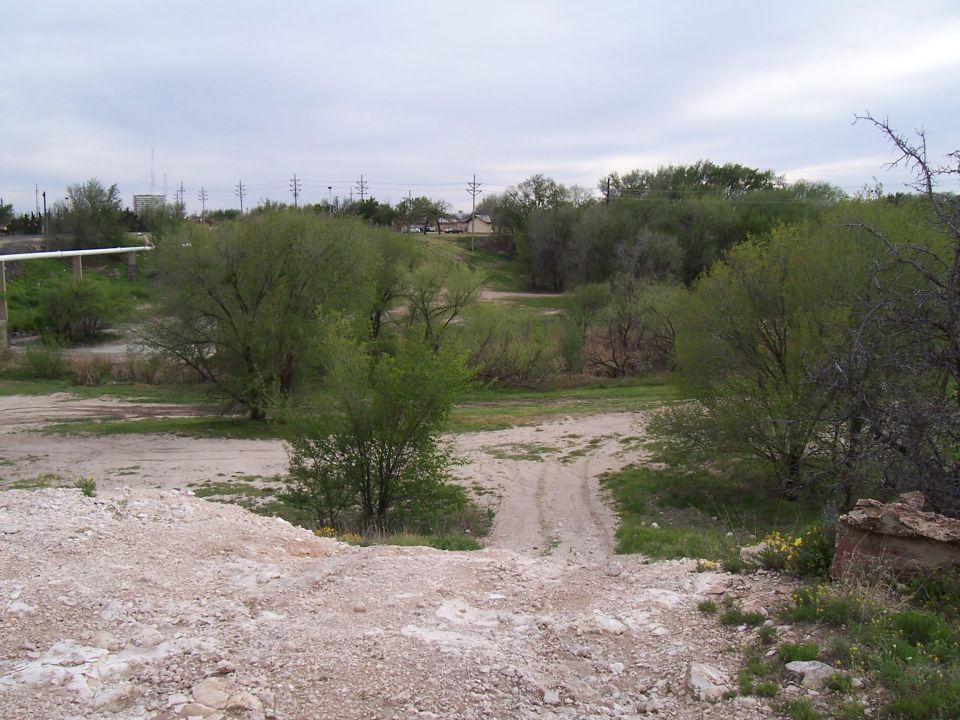 Dirt road leading into a dry creek bed with trees and brush