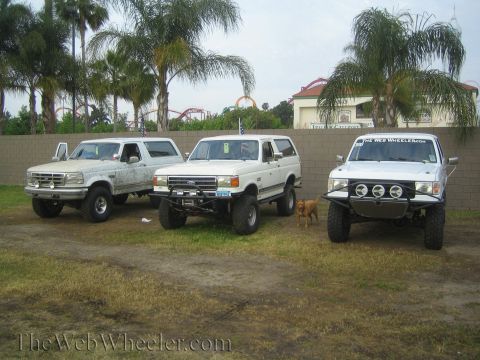 1990 Ford Bronco - Three white lifted Ford 4x4 vehicles, including a Bronco, parked on grass with palm trees and a roller coaster behind.