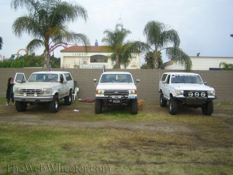 1990 Ford Bronco - lineup of three white lifted Ford 4x4 trucks parked on grass with palm trees and a building in the background.