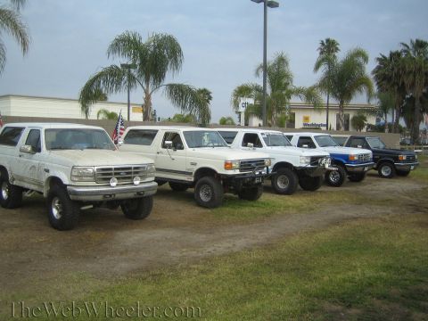 1990 Ford Bronco - row of lifted Ford Broncos and pickups, mostly white with one blue, parked in a line with palm trees behind.