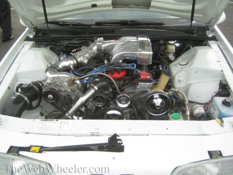 1990 Ford Bronco - Engine bay of a white Ford Thunderbird showing a supercharged V6 with polished blower and blue plug wires.