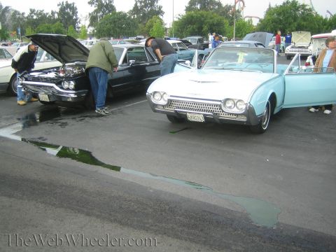 1990 Ford Bronco - light blue early Ford Thunderbird convertible parked at a car show beside a black classic with its hood up.