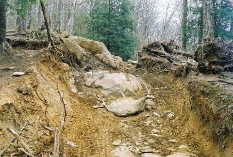 1978 Ford Bronco - A challenging off-road trail carved through a wooded area, showing deep tire tracks and rocky terrain.