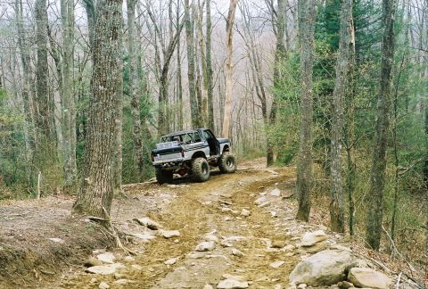 1978 Ford Bronco - Modified 1978 Ford Bronco navigates a challenging off-road path through a forest.