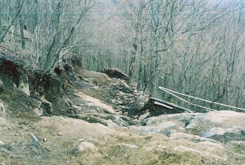 1978 Ford Bronco - A off-road trail winds through a forest of bare trees, with rocks and debris scattered along the path.