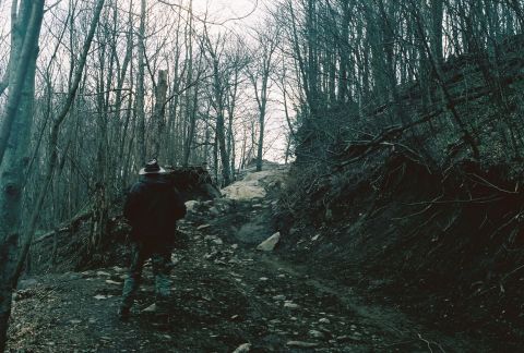 1978 Ford Bronco - A person walks up a steep, rocky path through a dense, bare forest.