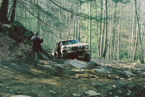 1978 Ford Bronco - Vehicle navigating a wooded area, obscured by trees and undergrowth.