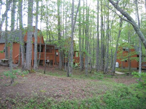 1992 Ford Mustang - The photo shows a cluster of rustic cabins surrounded by dense forest foliage.