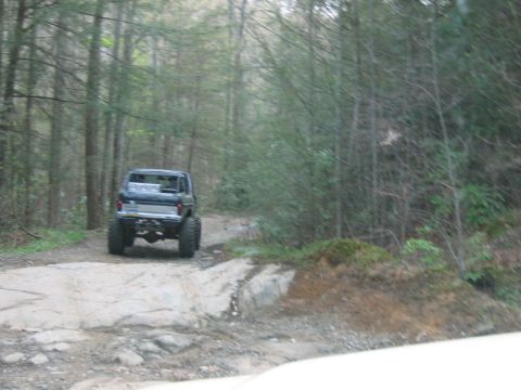 1992 Ford Mustang - Pickup truck navigates a challenging off-road path through a dense forest.