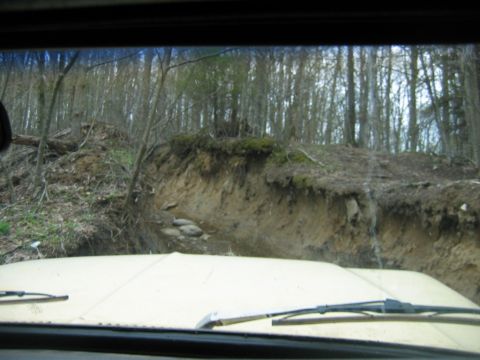 1992 Ford Mustang - View from inside a vehicle looking out at a wooded area with a steep ditch.