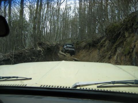 1992 Ford Mustang - Two vehicles on a challenging off-road trail through a dense forest.