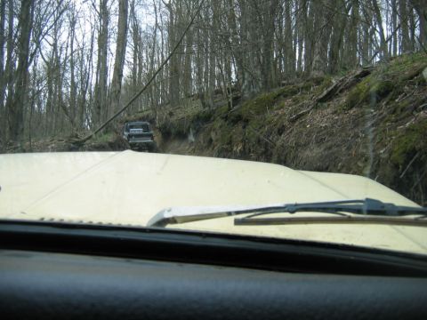 1992 Ford Mustang - Two trucks navigate a muddy path through a dense forest with bare trees.