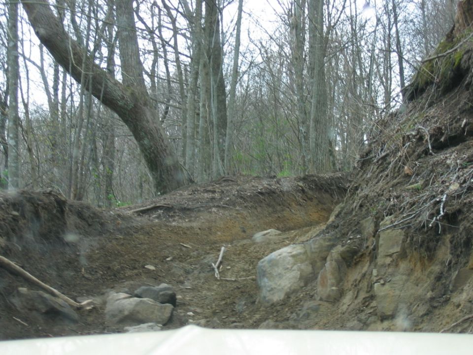 Off-road scene with trees and dirt path