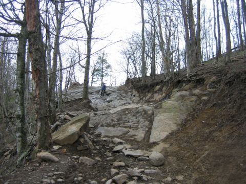 1992 Ford Mustang - A lone hiker navigates a challenging, rocky path through a forest with bare trees.