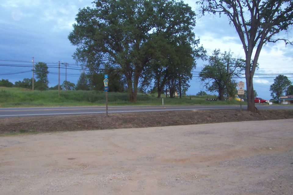Roadside scene with trees, power lines, and a distant red vehicle