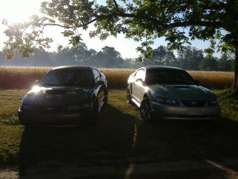2003 Ford Mustang - Two Ford Mustangs, one silver and one dark, are parked side-by-side in a grassy area with a field and trees in the background.