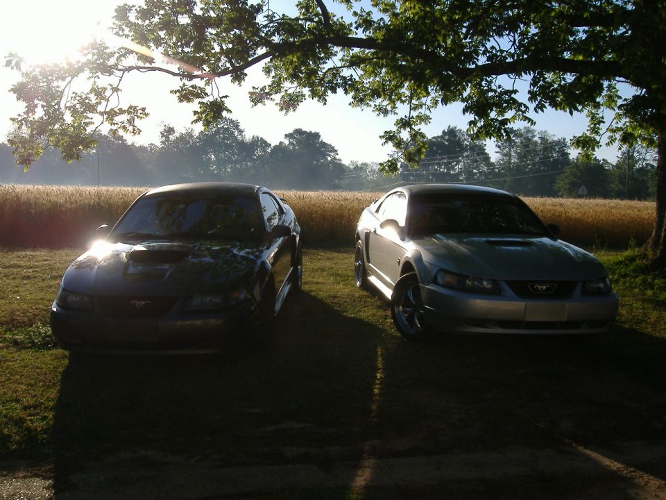Silver 2003 Ford Mustang parked in front of a field