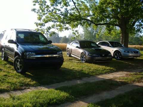 2003 Ford Mustang - Three vehicles, including two Ford Mustangs and a black SUV, are parked on a grassy area under a large tree.