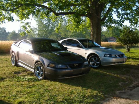 2003 Ford Mustang - Two Ford Mustangs are parked on a grassy lawn next to a field of wheat.