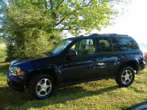 2003 Ford Mustang - A dark blue SUV is parked on a grassy lawn with trees overhead, showing a side profile.