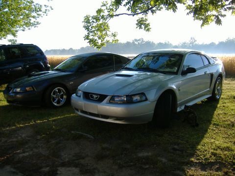 2003 Ford Mustang - Two Ford Mustangs and an SUV are parked on a grassy area with trees and a field in the background.