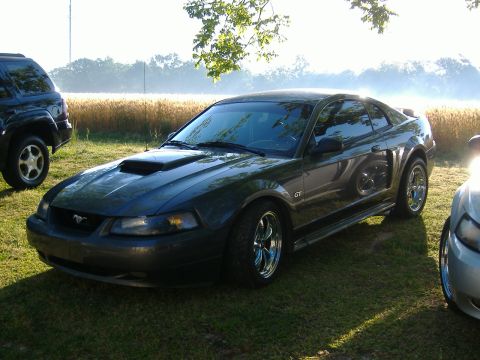 2003 Ford Mustang - A dark green 2003 Ford Mustang GT is parked outdoors next to another vehicle, with a field and trees visible behind it.