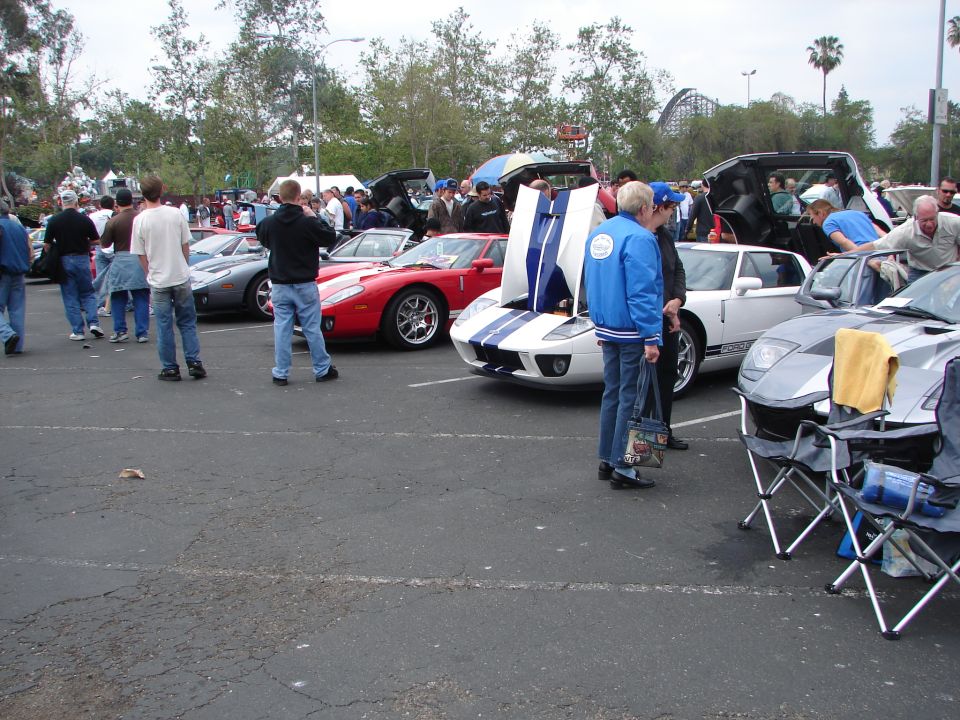 Several Ford GT sports cars are parked in a lot, with people milling around them. One white GT has its hood open, revealing blue stripes