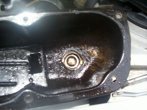 1997 Dodge Intrepid - Closeup of repugnant goo in driver's side valve cover near oil cap.