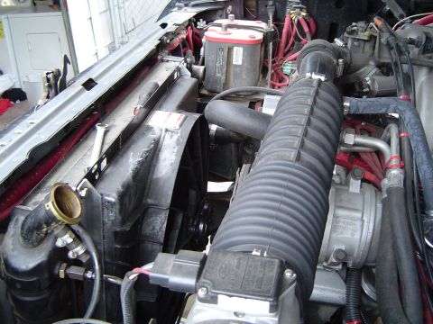 1989 Ford Bronco - Drivers side