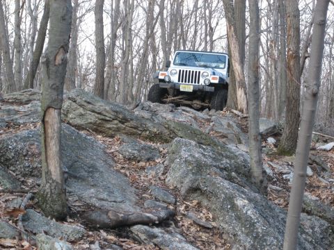 2002 Jeep Wrangler - A white Jeep Wrangler navigates a challenging rocky path through a wooded area.