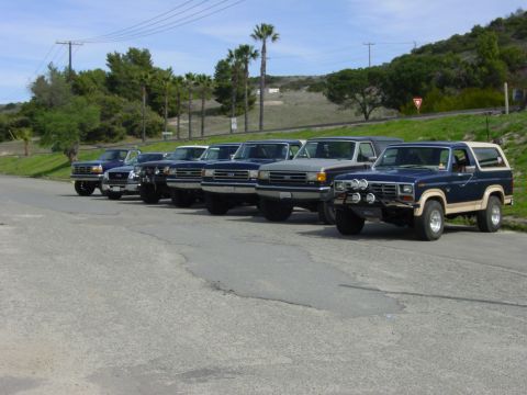 1994 Ford Bronco - A lineup of classic Ford Broncos and trucks are parked on a paved area with a grassy hillside in the background.